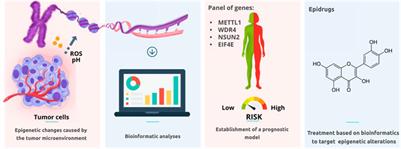 Frontiers Editorial Molecular Basis Of Epigenetic Regulation In